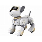 VOICE DOG TOUCH CONT...