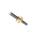 145Mm Trapezoid Screw