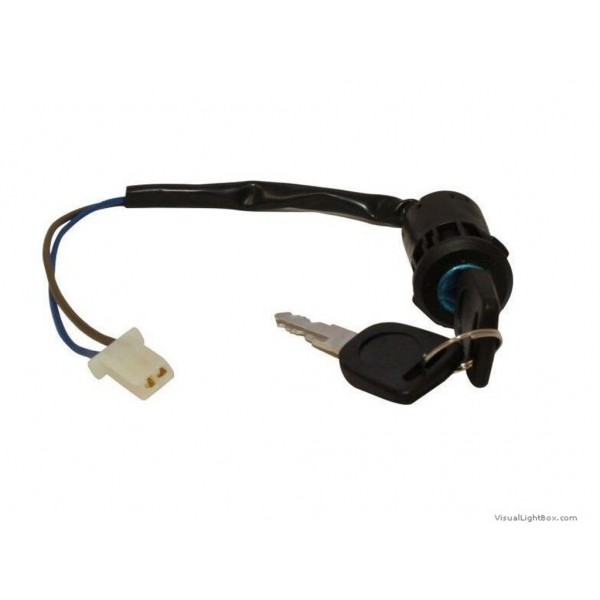 2 Pin Ignition Switch