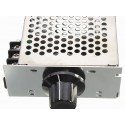 4000W Speed Controller Scr Voltage Regulator Led Dimmer 220V 