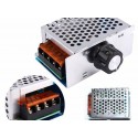 4000W Speed Controller Scr Voltage Regulator Led Dimmer 220V 