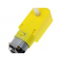 300 Rpm Bo Motor Stright Dual Shaft (Gear Ratio 1:48)