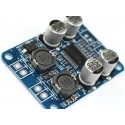 Tpa3118 Pbtl Mono Digital Amplifier Board 1X60W 12V 24V Power Amplifier Module