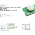 Gh718C Pir Human Body Infrared Sensor Module