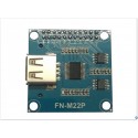 Fn-M22P Mp3 Module